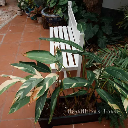 Ngaunhien'S House - Homestay Phan Rang Exterior photo