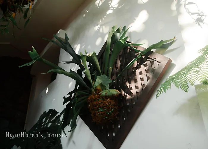 Ngaunhien\'S House - Homestay