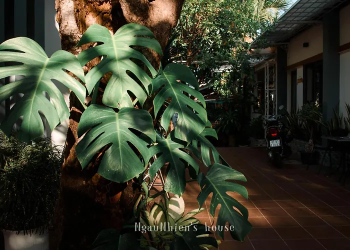 Ngaunhien\'S House - Homestay