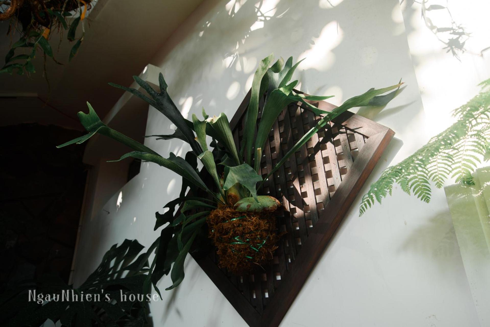 Homestay Ngaunhien's House - Phan Rang