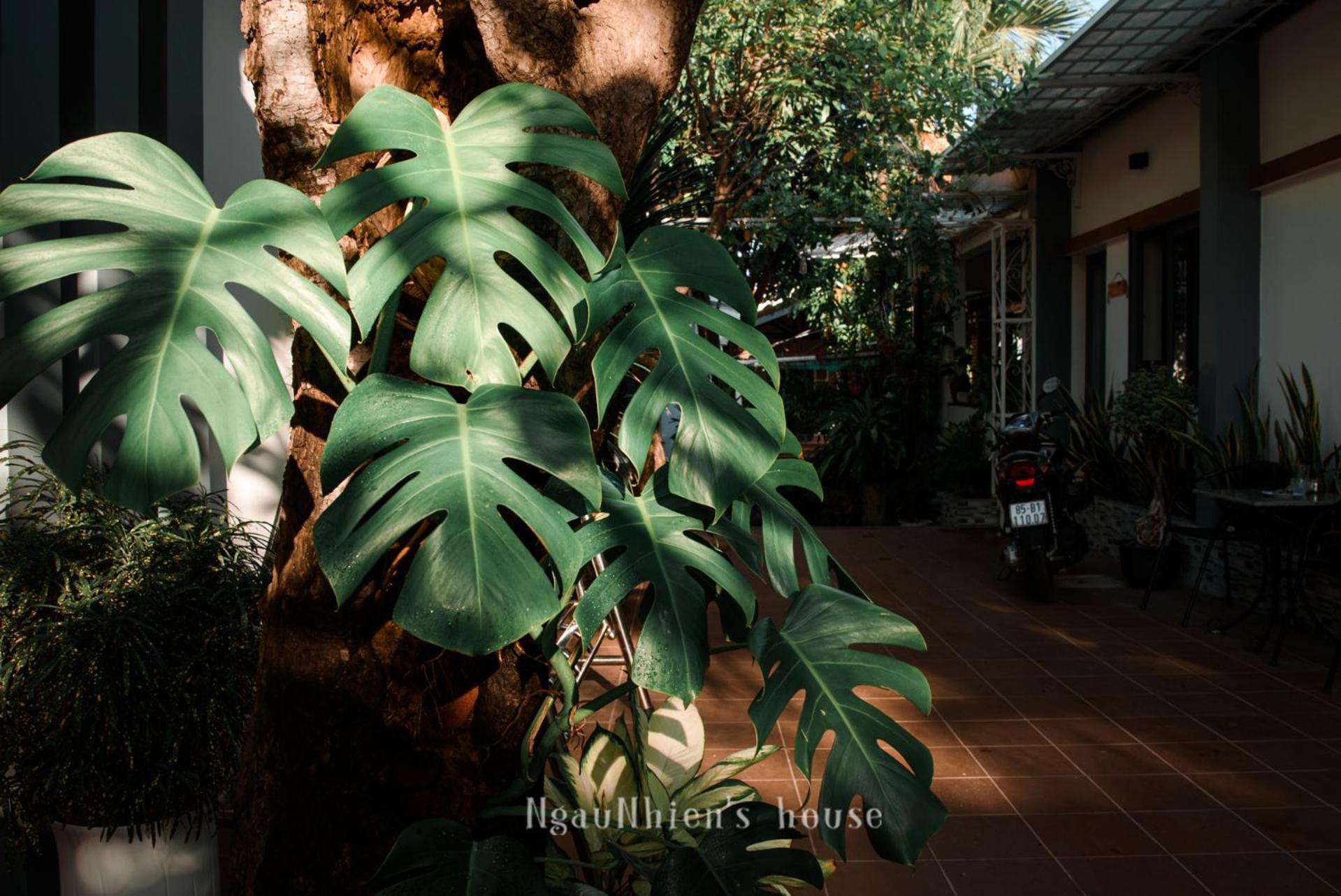 Ngaunhien's House - * Phan Rang