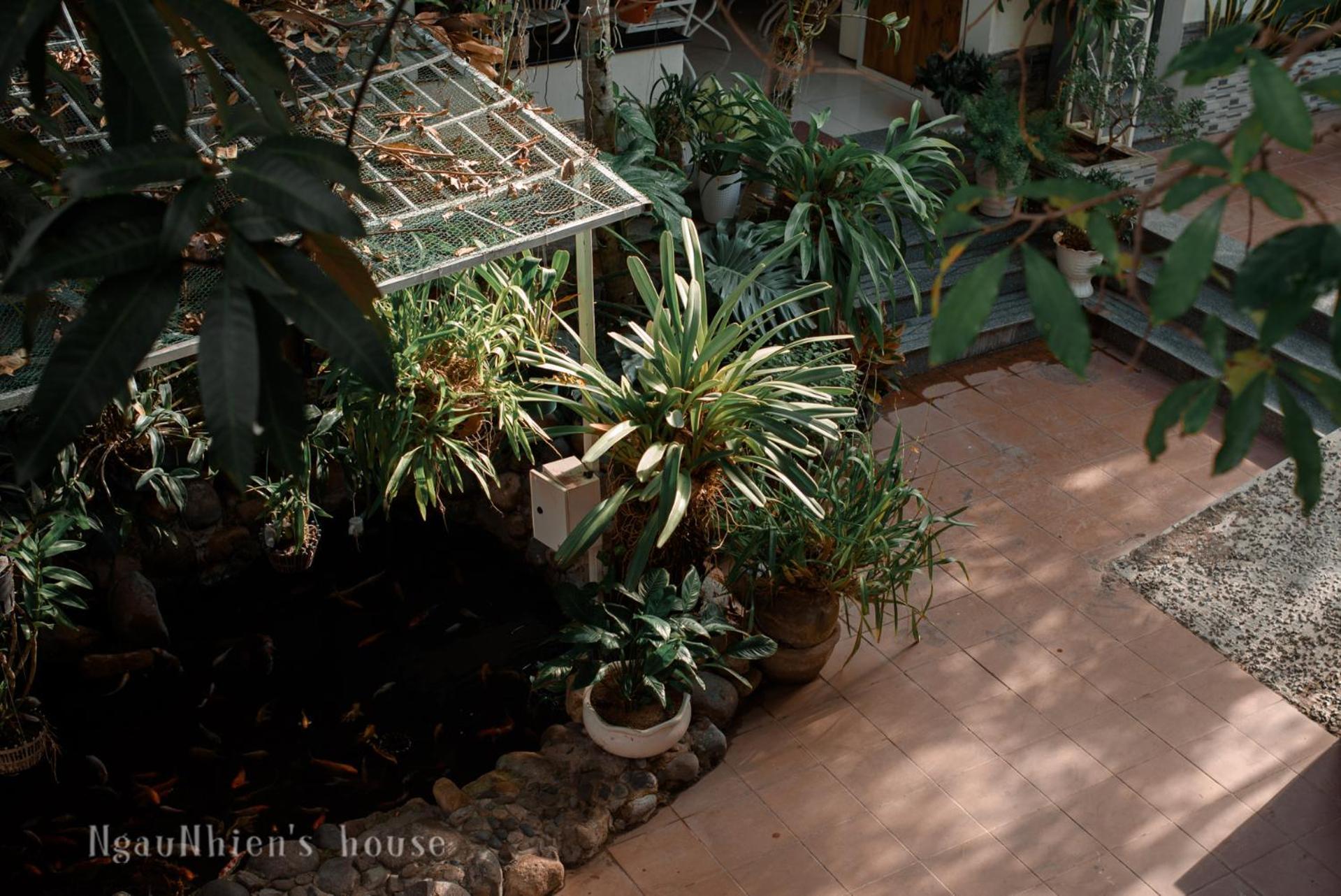 Ngaunhien's House - Homestay