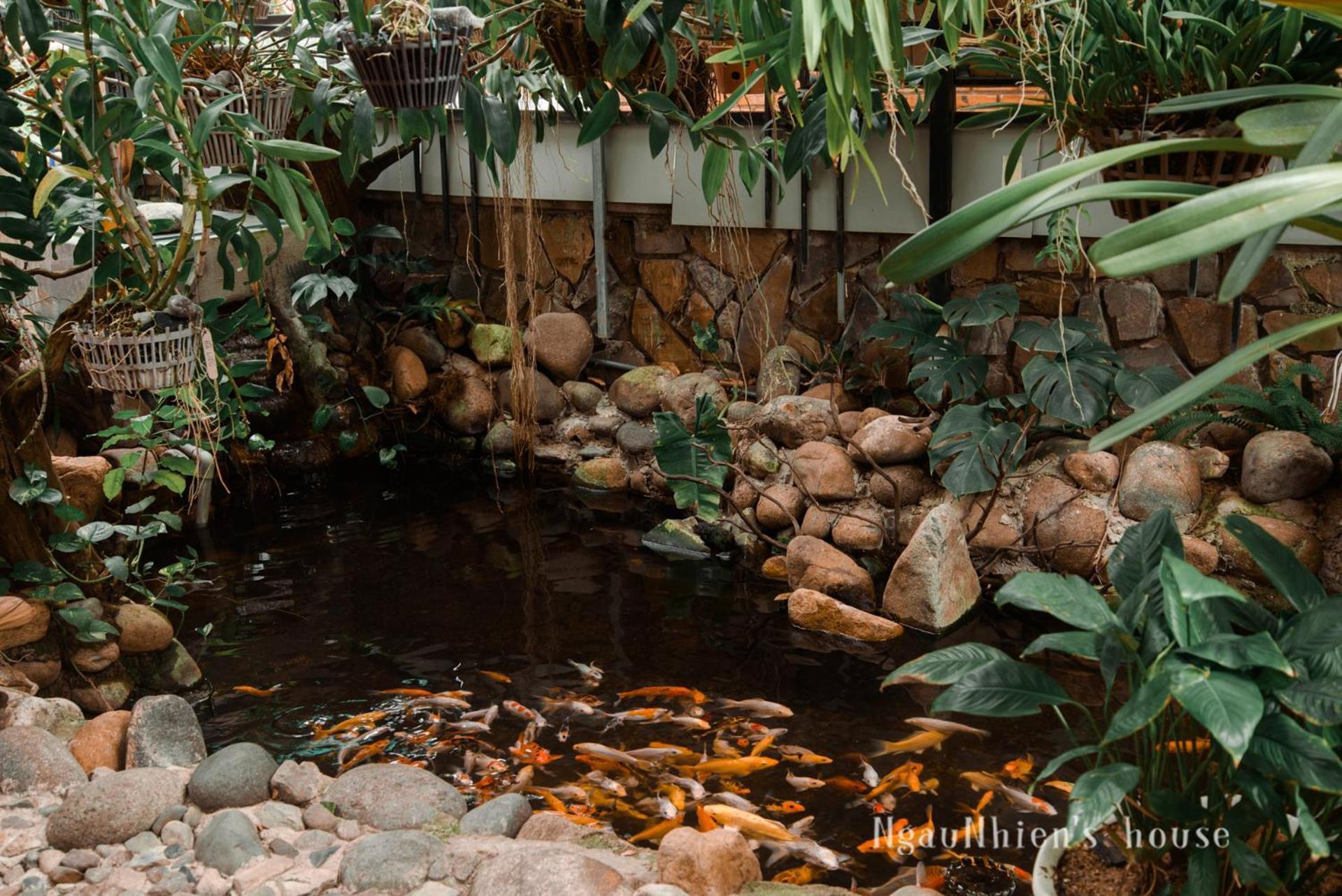 Homestay Ngaunhien's House -