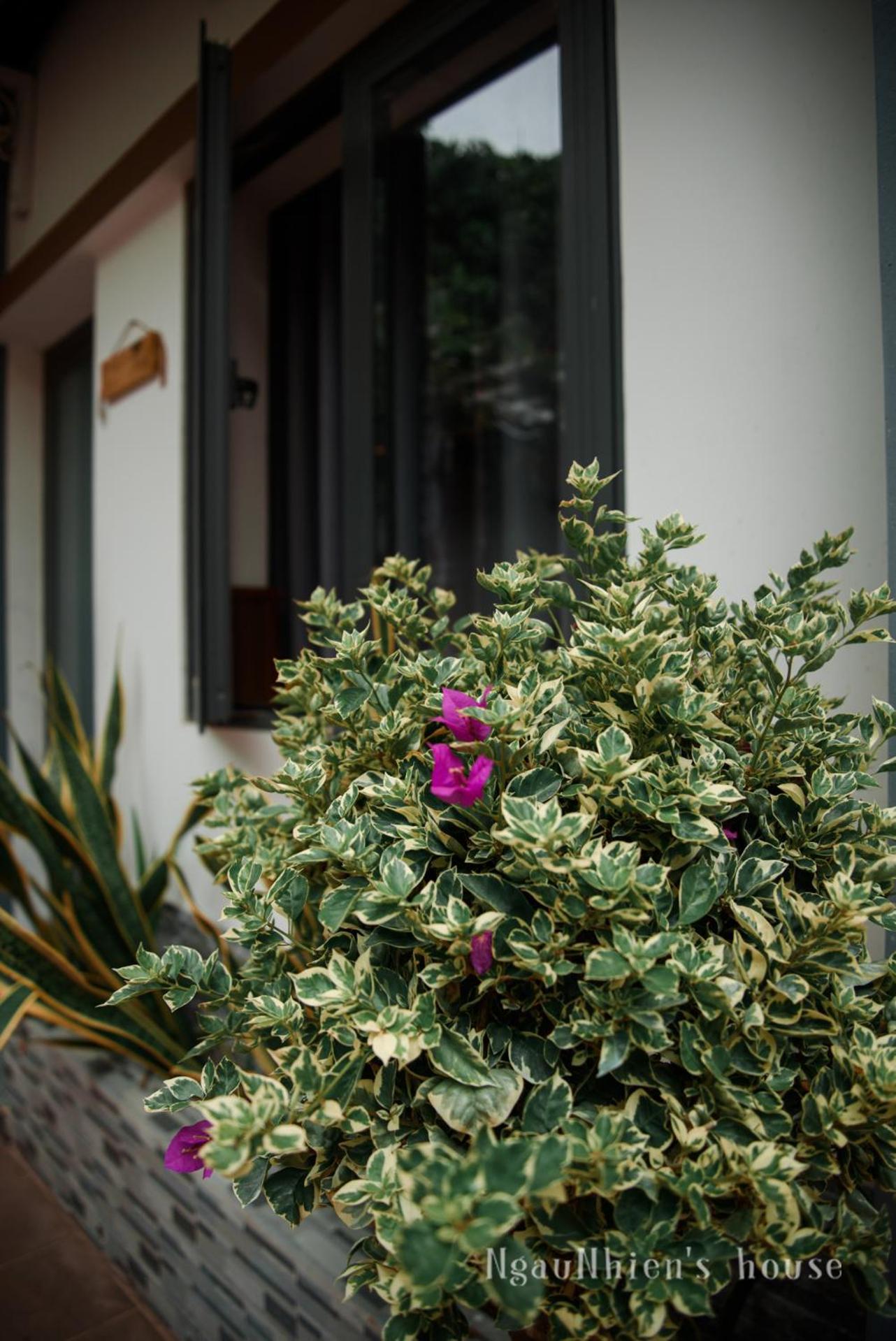 Ngaunhien's House - Homestay Phan Rang