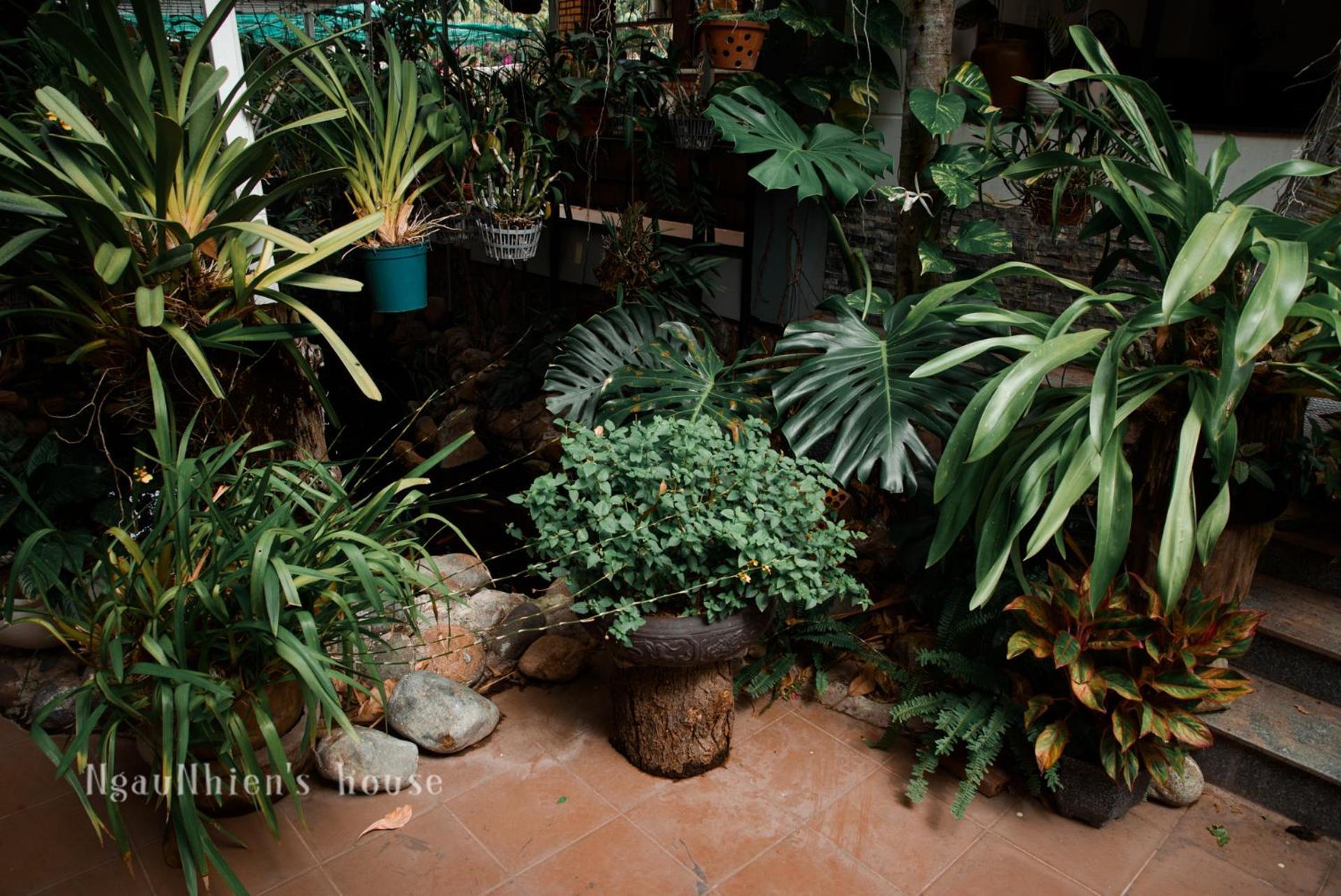 Ngaunhien's House - Phan Rang