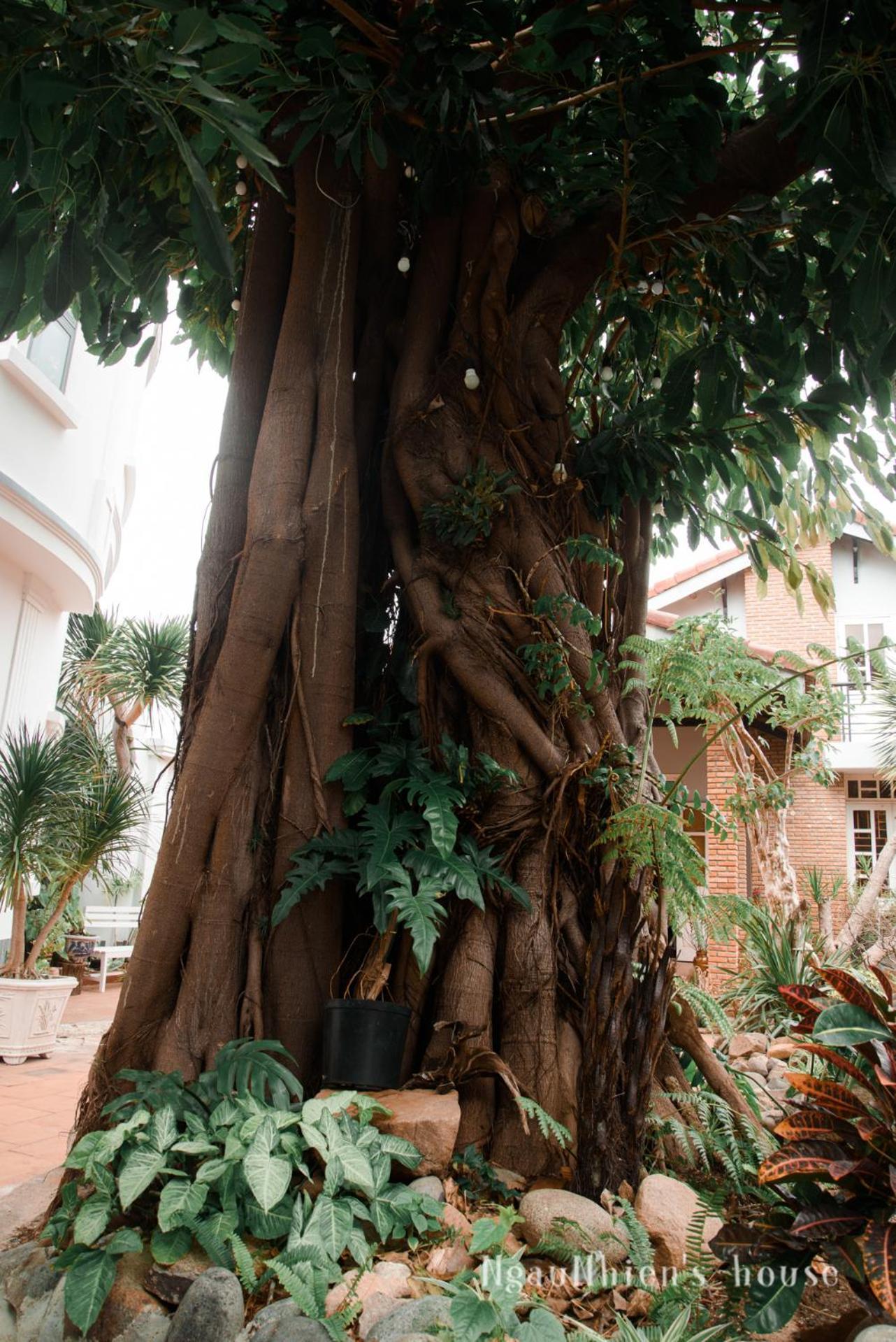 Ngaunhien's House - * Phan Rang